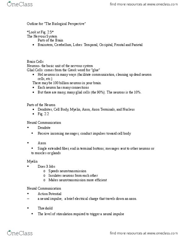 PSYC 2000 Lecture Notes - Lecture 3: Neuroglia, Frontal Lobe, Myelin thumbnail