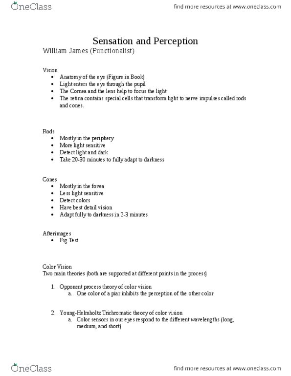 PSYC 2000 Lecture Notes - Lecture 4: Color Vision, Opponent Process, Cornea thumbnail