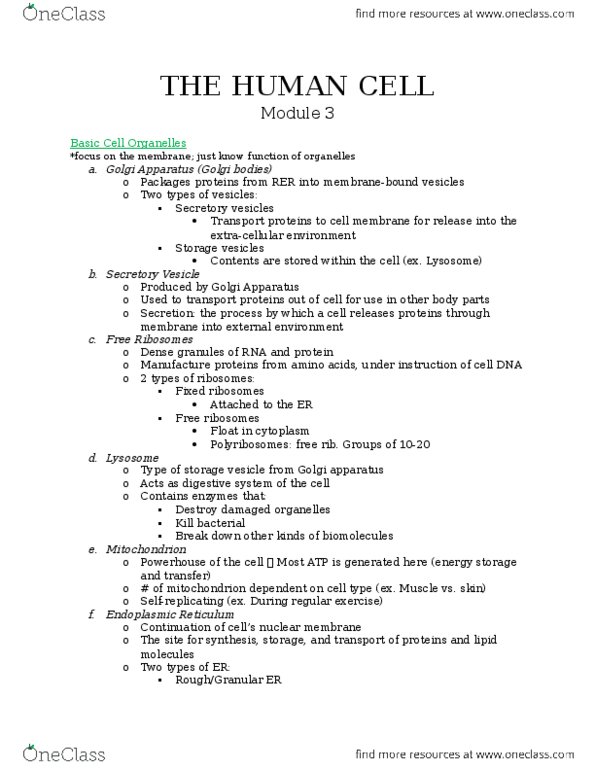 Physiology 1020 Lecture Notes - Lecture 3: Golgi Apparatus, Membrane Protein, Mitochondrion thumbnail
