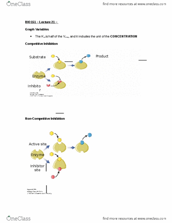 BIOLOGY 151 Lecture Notes - Lecture 21: Mitochondrion, Thylakoid, Competitive Inhibition thumbnail