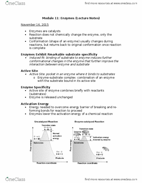BI110 Lecture Notes - Lecture 37: Activation Energy, Enzyme, Reaction Coordinate thumbnail