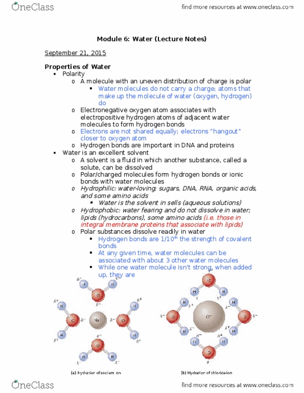 BI110 Lecture Notes - Lecture 6: Covalent Bond, Liposome, Amphiphile thumbnail
