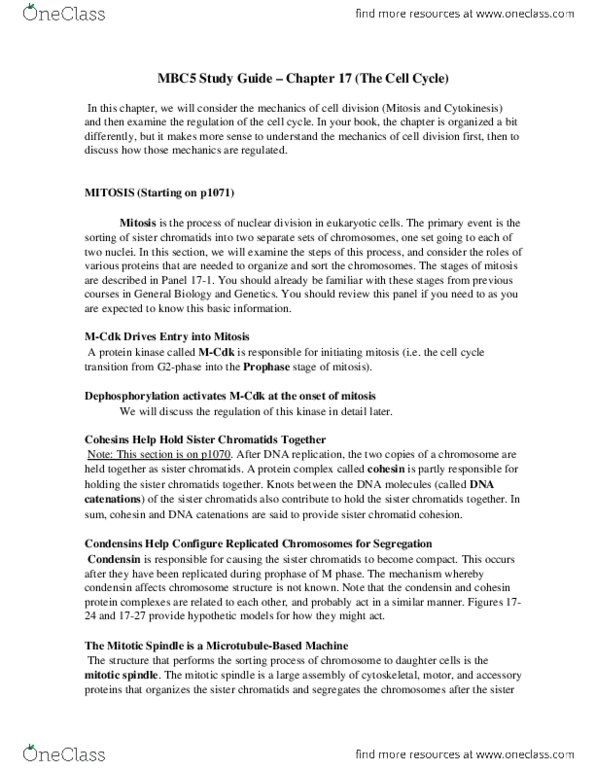 BIOL 4004 Lecture Notes - Lecture 1: Sister Chromatids, Spindle Apparatus, Condensin thumbnail