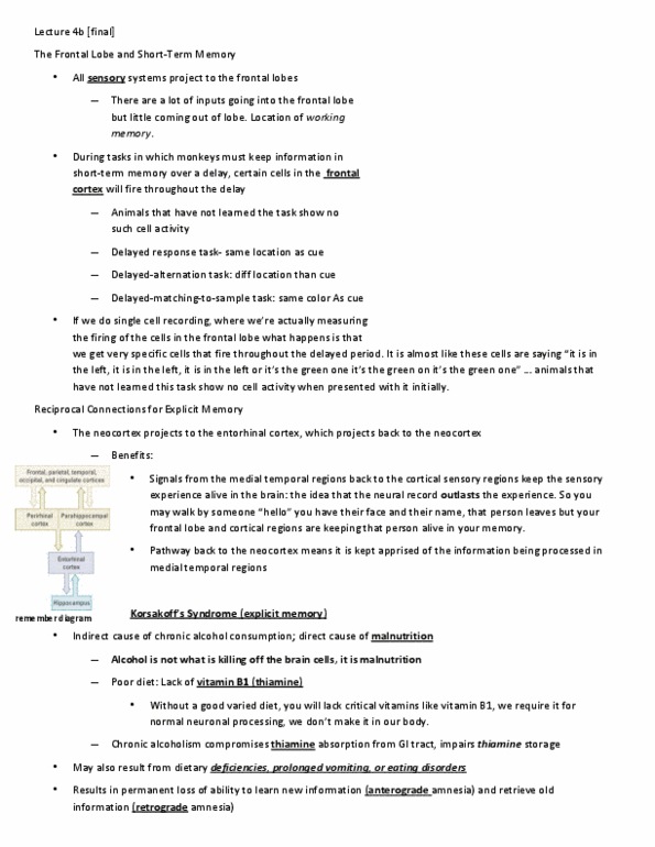 PSYC 2800 Lecture Notes - Substantia Nigra, Basal Forebrain, Basal Ganglia thumbnail