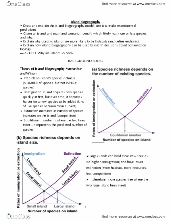 document preview image