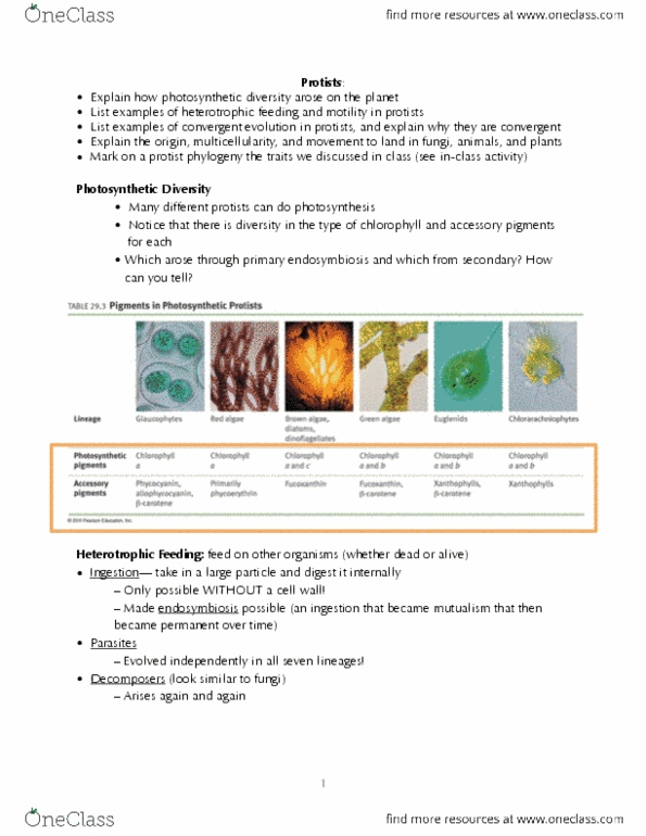 BIOL 150 Lecture Notes - Lecture 1: Accessory Pigment, Protist, Chlorophyll thumbnail