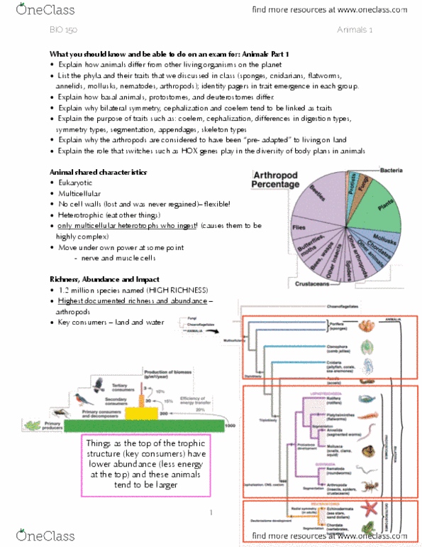 BIOL 150 Lecture Notes - Lecture 1: Symmetry In Biology, Cephalization, Arthropod thumbnail