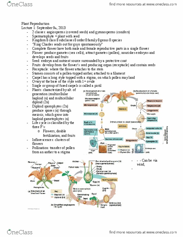 BIOL 1020 Midterm: Bio Midterm Notes - OneClass