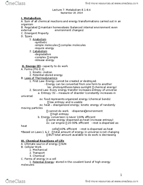 01:119:115 Lecture Notes - Lecture 7: Covalent Bond, Energy Transformation, Chemical Energy thumbnail