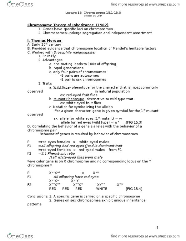 01:119:115 Lecture Notes - Lecture 13: Y Chromosome, Wild Type, Mendelian Inheritance thumbnail