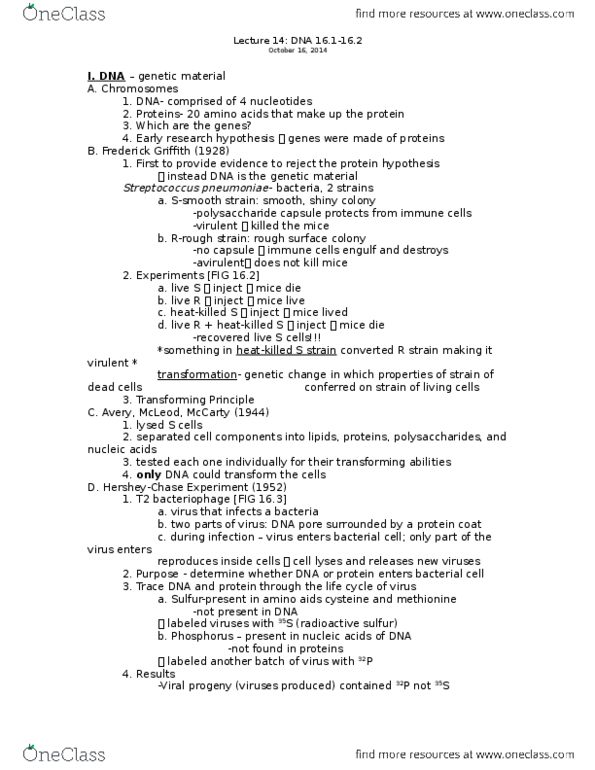 01:119:115 Lecture Notes - Lecture 14: Frederick Griffith, Streptococcus, Polysaccharide thumbnail