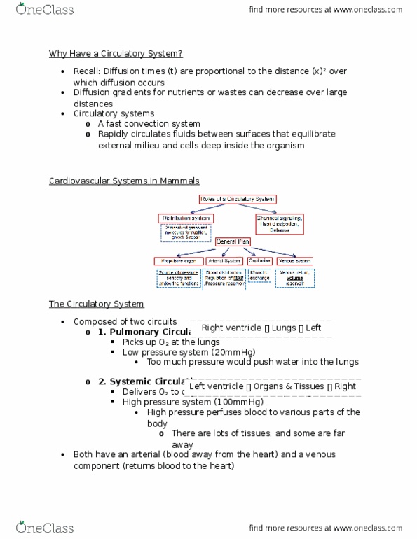 BIOLOGY 2A03 Lecture Notes - Lecture 5: Hyperaemia, Pericardium, Afterload thumbnail