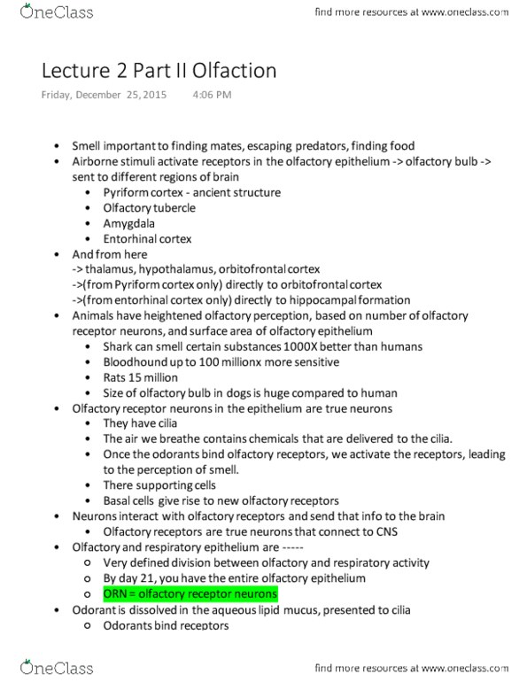 NEUROSC M101A Lecture Notes - Lecture 2: Adenylyl Cyclase, Piriform Cortex, Olfactory Bulb thumbnail