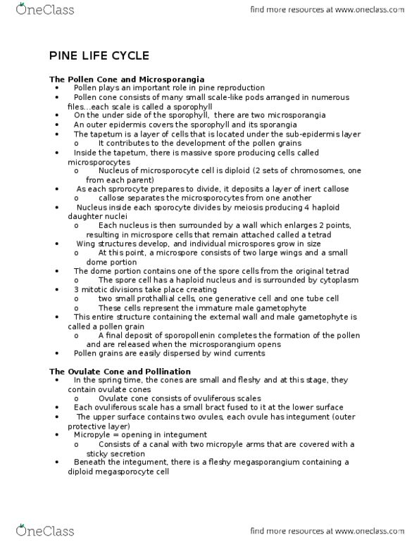 BIOL 201 Lecture Notes - Lecture 1: Sporophyll, Microsporangia, Microspore thumbnail