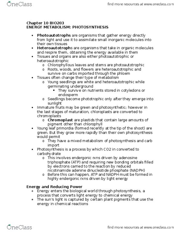 BIO203H5 Chapter Notes - Chapter 10: Photosynthetic Pigment, Oxidative Phosphorylation, Phototroph thumbnail