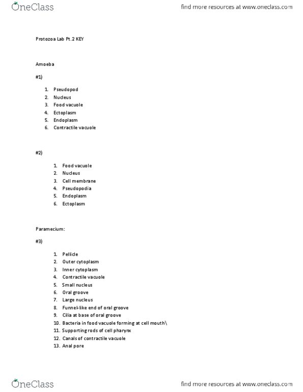 BIO SCI 94 Lecture Notes - Lecture 23: Contractile Vacuole, Paramecium, Endoplasm thumbnail