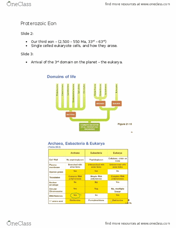 BIO 1130 Lecture Notes - Lecture 10: Archaea, Eukaryote, Plasmodium thumbnail