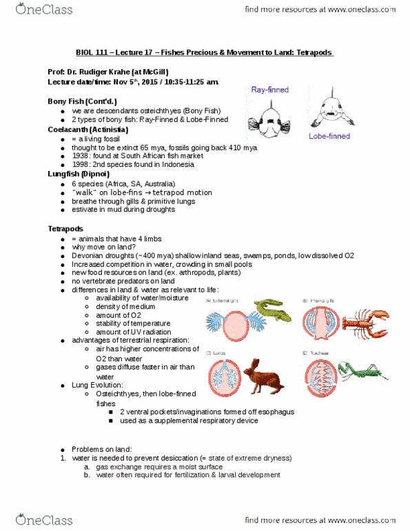 BIOL 111 Lecture Notes - Lecture 17: Osteichthyes, Actinistia, Lungfish thumbnail