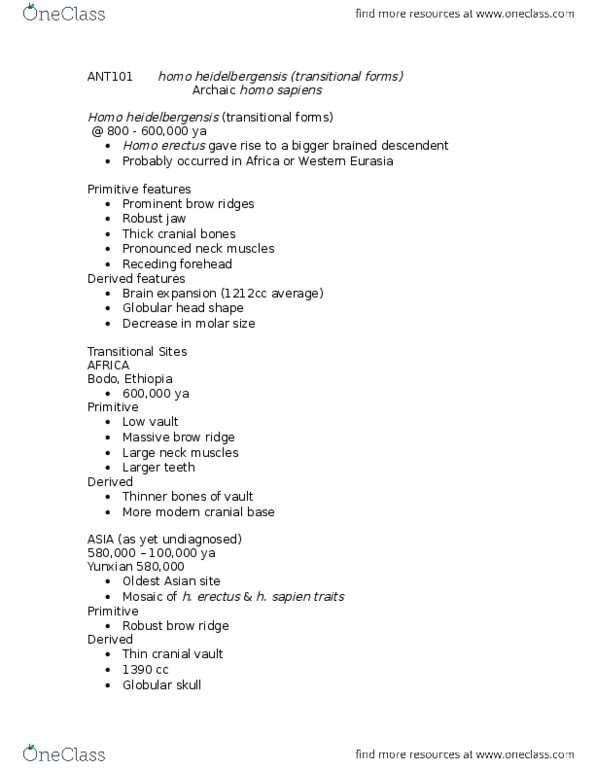 ANT101H5 Lecture Notes - Lecture 14: Homo Heidelbergensis, Cranial Vault, Homo Erectus thumbnail