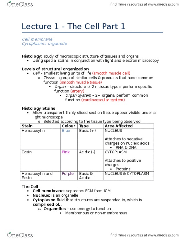 Anatomy and Cell Biology 3309 Lecture Notes - Lecture 1: Optical Microscope, Cell Adhesion, Organelle thumbnail