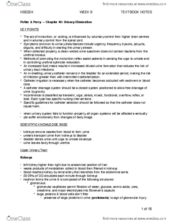 NSE 22A/B Chapter 43: NSE22A WEEK 9 TEXTBOOK NOTES thumbnail