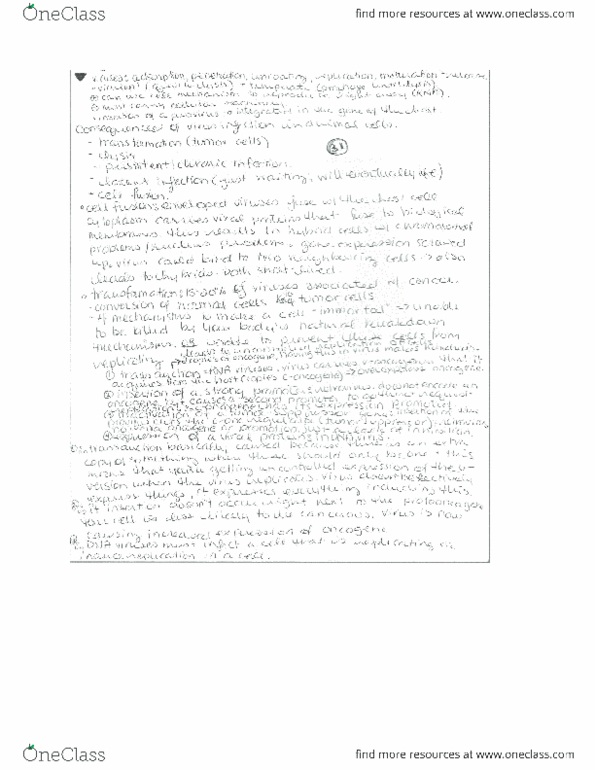 document preview image