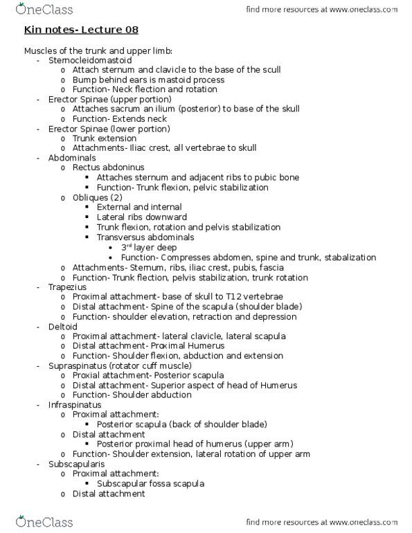 KIN 121 Lecture Notes - Lecture 8: Infraspinatus Muscle, Latissimus Dorsi Muscle, Subscapularis Muscle thumbnail