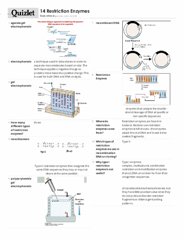 document preview image