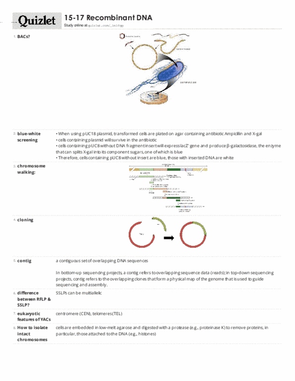 BIOL 2321 Lecture Notes - Lecture 15: Spheroplast, Open Reading Frame, Adenine thumbnail