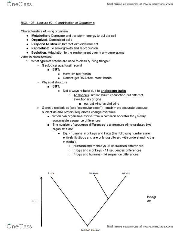 BIOL107 Final: Everything You Need For The Final! 81 Page Study Guide ...