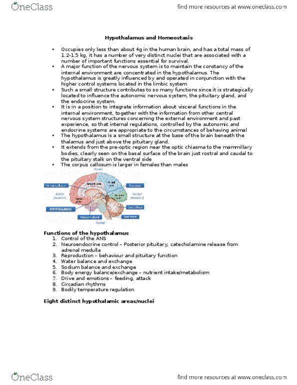 Physiology 1021 Lecture 1: Hypothalamus and Homeostasis Physiology 2015 thumbnail