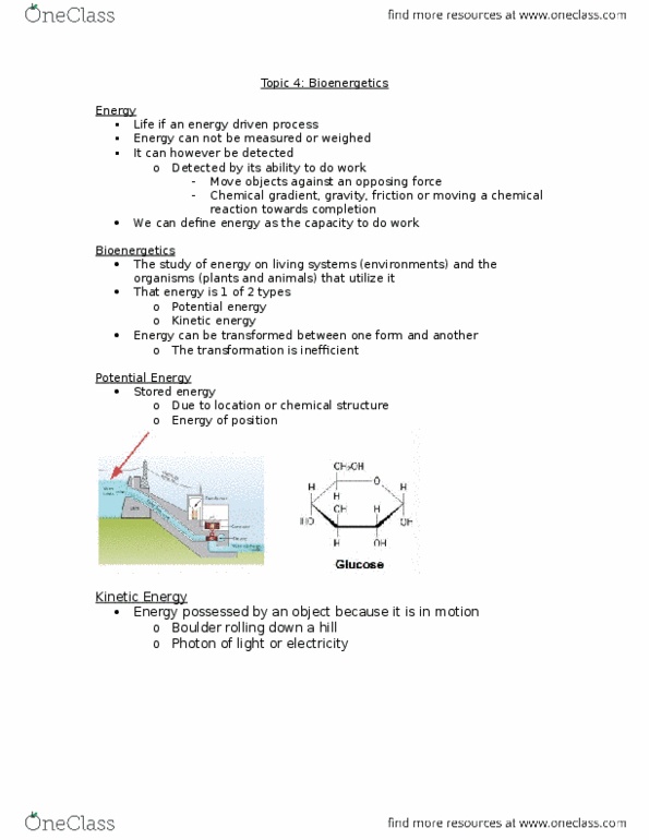 Biology 1201A Lecture Notes - Lecture 5: Exergonic Reaction, Endergonic Reaction thumbnail