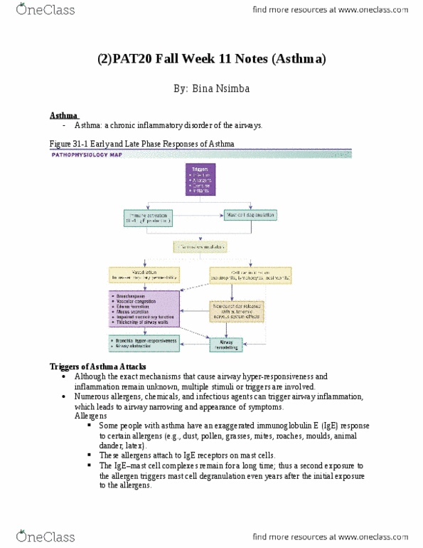 PAT 20A/B Lecture Notes - Lecture 11: Metabolic Acidosis, Cortisol, Hypercapnia thumbnail