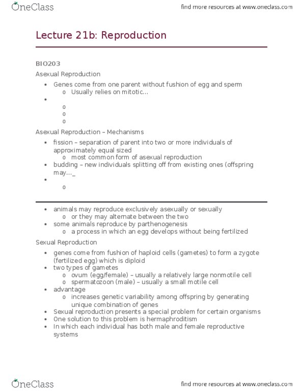 BIO 203 Lecture Notes - Lecture 21: Vas Deferens, Sexual Differentiation, External Fertilization thumbnail