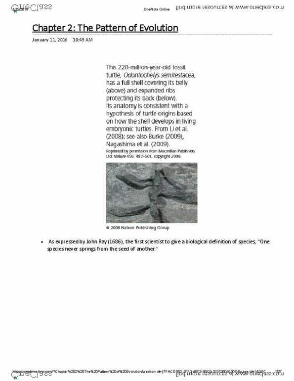BIOB51H3 Lecture Notes - Lecture 2: Transitional Fossil, Rna Virus, Sea Of Japan thumbnail