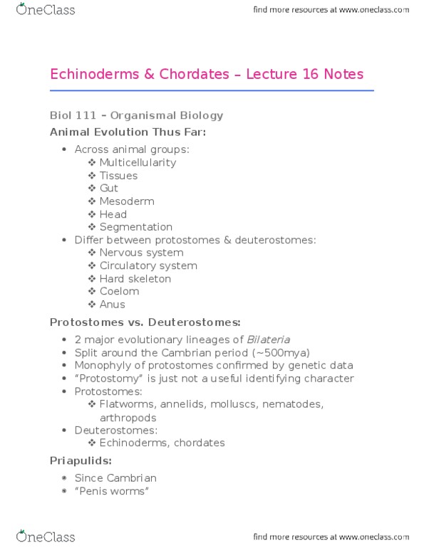 BIOL 101 Lecture Notes - Lecture 16: Parthenogenesis, External Fertilization, Closed System thumbnail