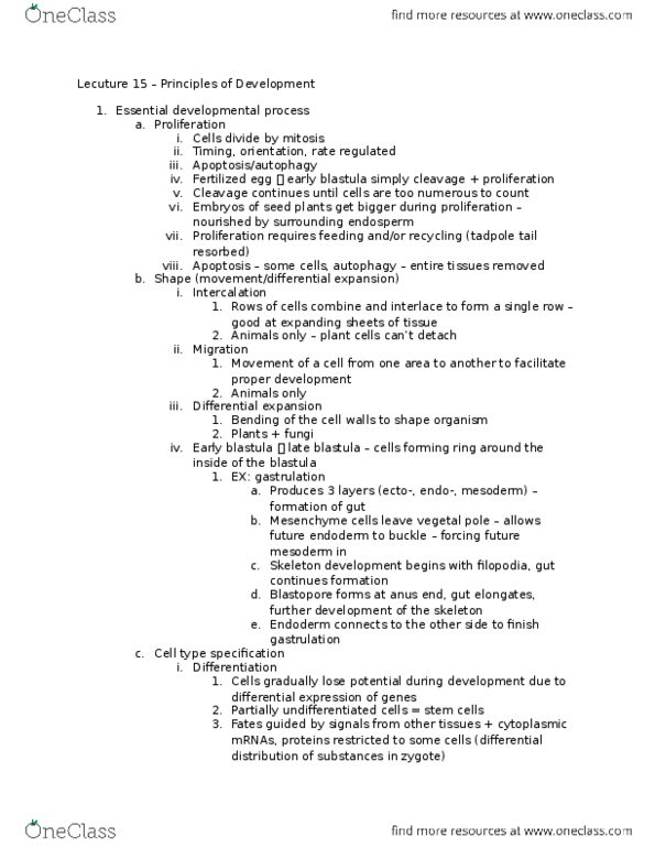 BSCI 207 Lecture Notes - Lecture 15: Autophagy, Endosperm, Blastula thumbnail