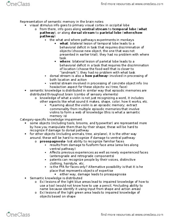 PSYC 144 Lecture Notes - Lecture 5: Cerebral Hemisphere, Grey Matter, Semantic Dementia thumbnail