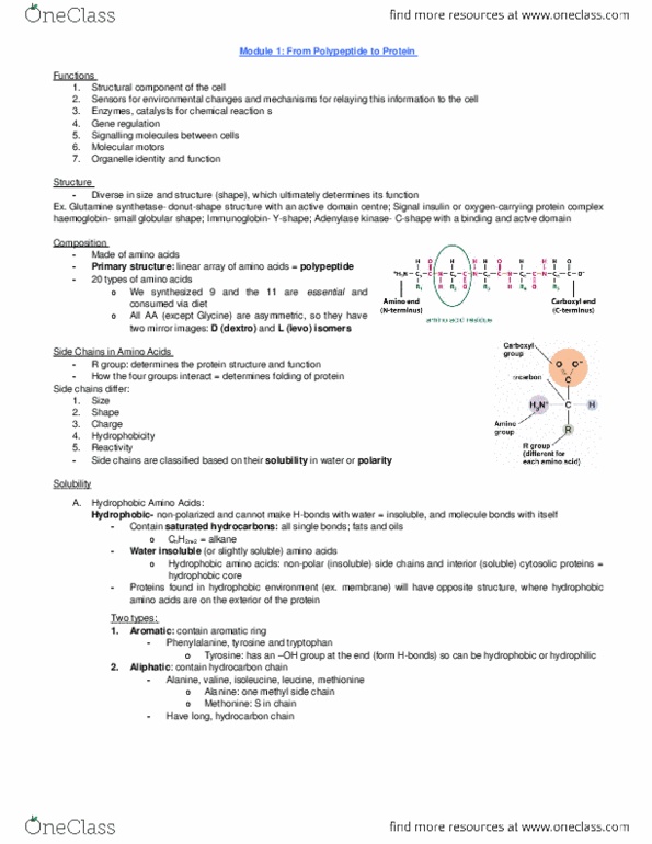 BIOLOGY 2B03 Lecture Notes - Lecture 1: Tyrosine, Collagen, Amphiphile thumbnail