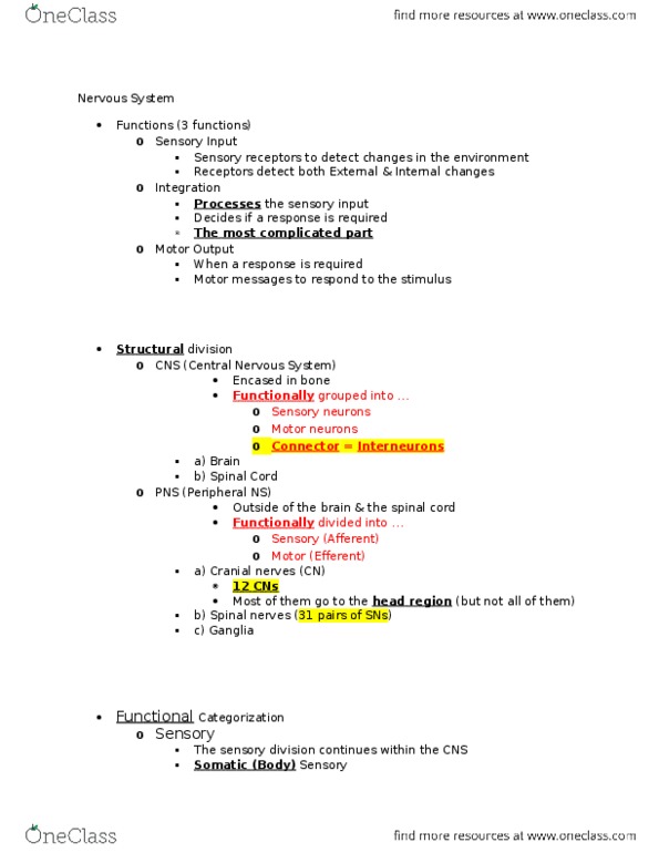 KINE 2031 Lecture Notes - Lecture 1: Tempora, Commissure, Choroid thumbnail