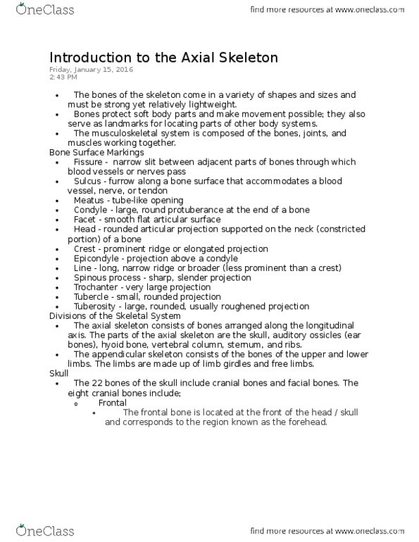 Health Sciences 2300A/B Lecture Notes - Lecture 2: Axial Skeleton, Appendicular Skeleton, Hyoid Bone thumbnail