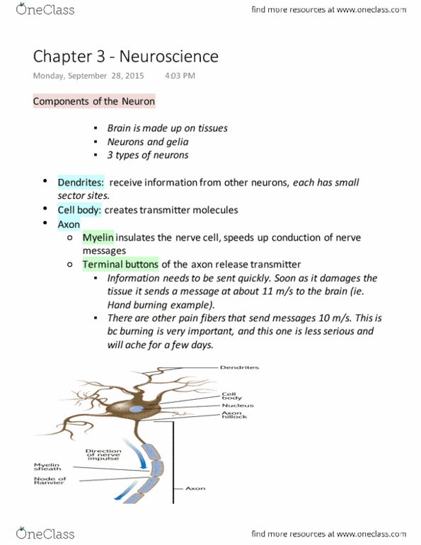 PSY100Y5 Lecture Notes - Lecture 3: Phineas Gage, Dopamine Agonist, Axon Hillock thumbnail