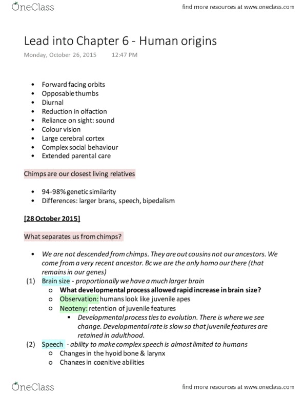 ENV100Y5 Lecture Notes - Lecture 23: Hyoid Bone, Cerebral Cortex, Brain Size thumbnail