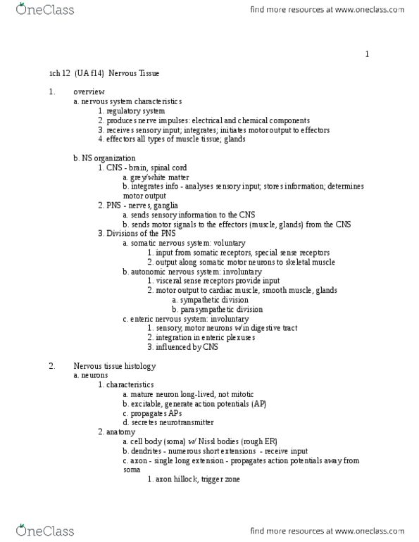 3100:201 Lecture Notes - Lecture 12: Somatic Nervous System, Enteric Nervous System, Axon Hillock thumbnail