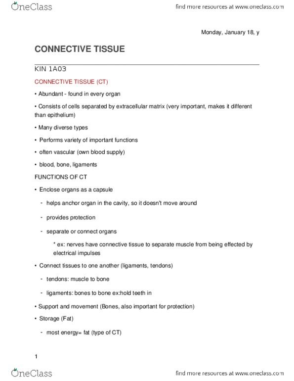 KINESIOL 1A03 Lecture Notes - Lecture 6: Loose Connective Tissue, Osteoclast, Ground Substance thumbnail
