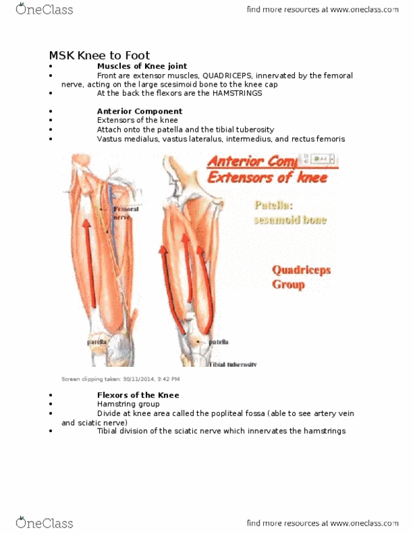 NURSING 2LA2 Lecture Notes - Lecture 1: Gastrocnemius Muscle, Hamstring, Anterior Cruciate Ligament Injury thumbnail
