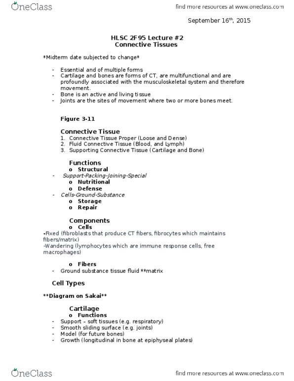 HLSC 2F95 Lecture Notes - Lecture 2: Epiphyseal Plate, Human Musculoskeletal System, Connective Tissue thumbnail