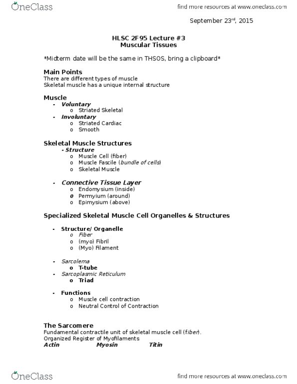 HLSC 2F95 Lecture Notes - Lecture 3: Skeletal Muscle, Myocyte, Fibril thumbnail