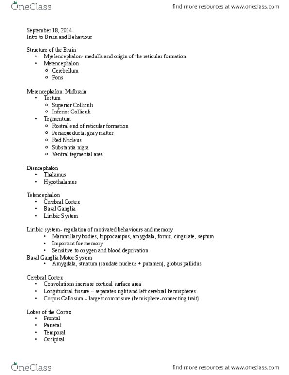 PSYC 2560 Lecture Notes - Lecture 6: Substantia Nigra, Periaqueductal Gray, Basal Ganglia thumbnail