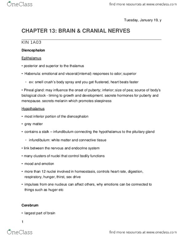 KINESIOL 1A03 Lecture Notes - Lecture 9: Cranial Nerves, Pineal Gland, Habenula thumbnail